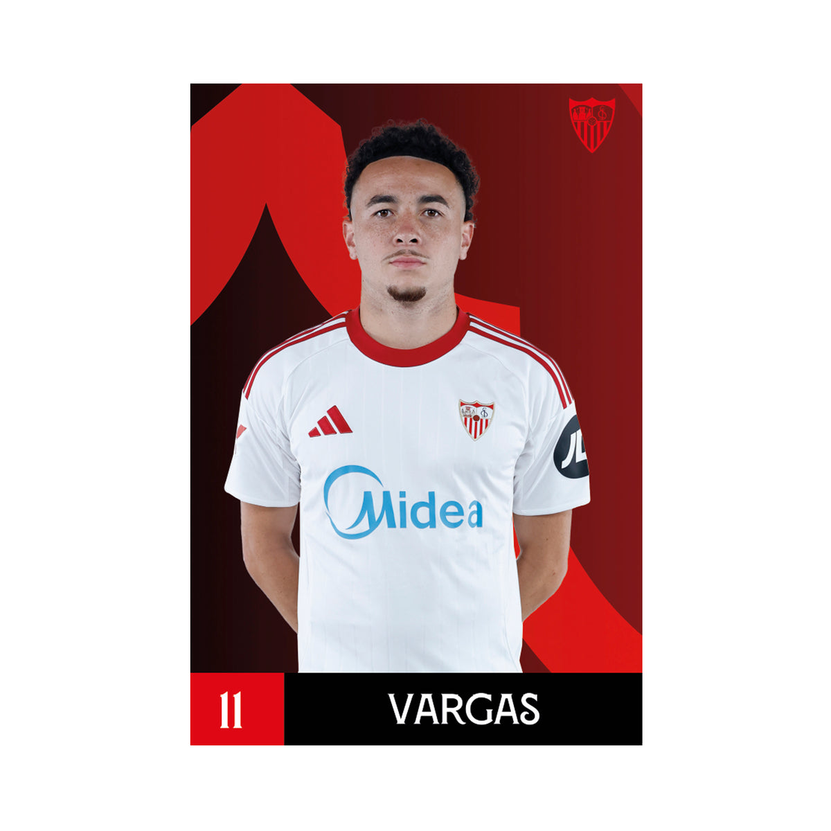 Postal Vargas 11