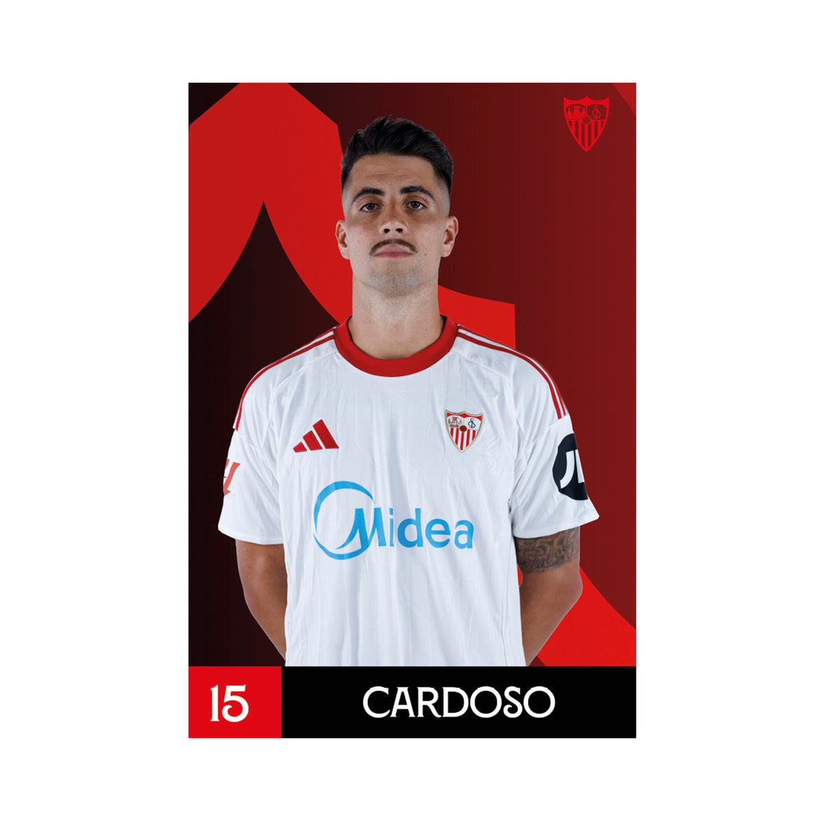 Postal Cardoso 15