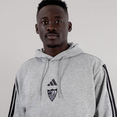 Sudadera adulto con capucha Sevilla FC 25/26 gris