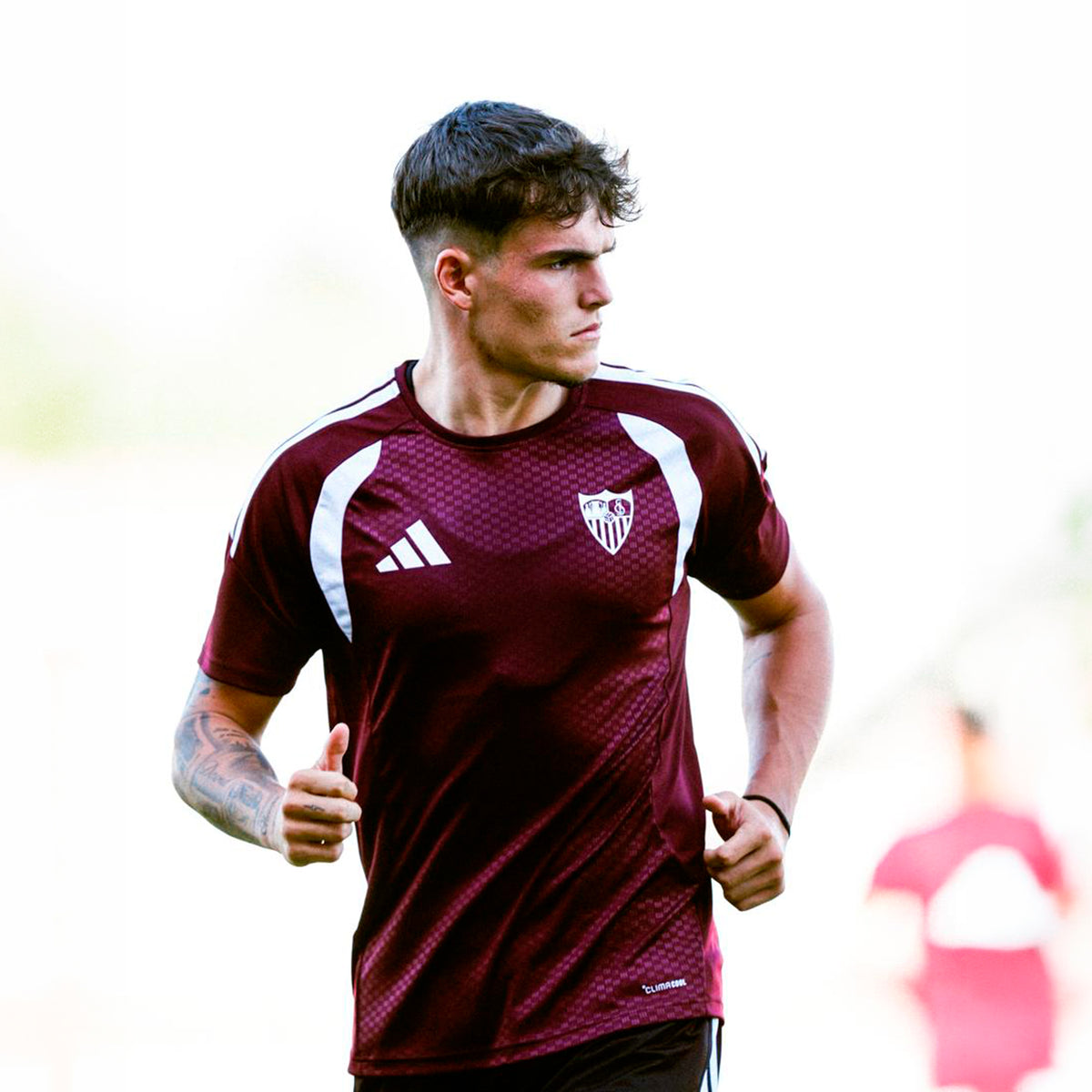 Camiseta adulto entrenamiento Sevilla FC 26/27 burdeos