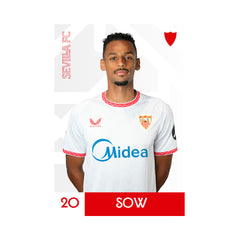 Postal Sow 20