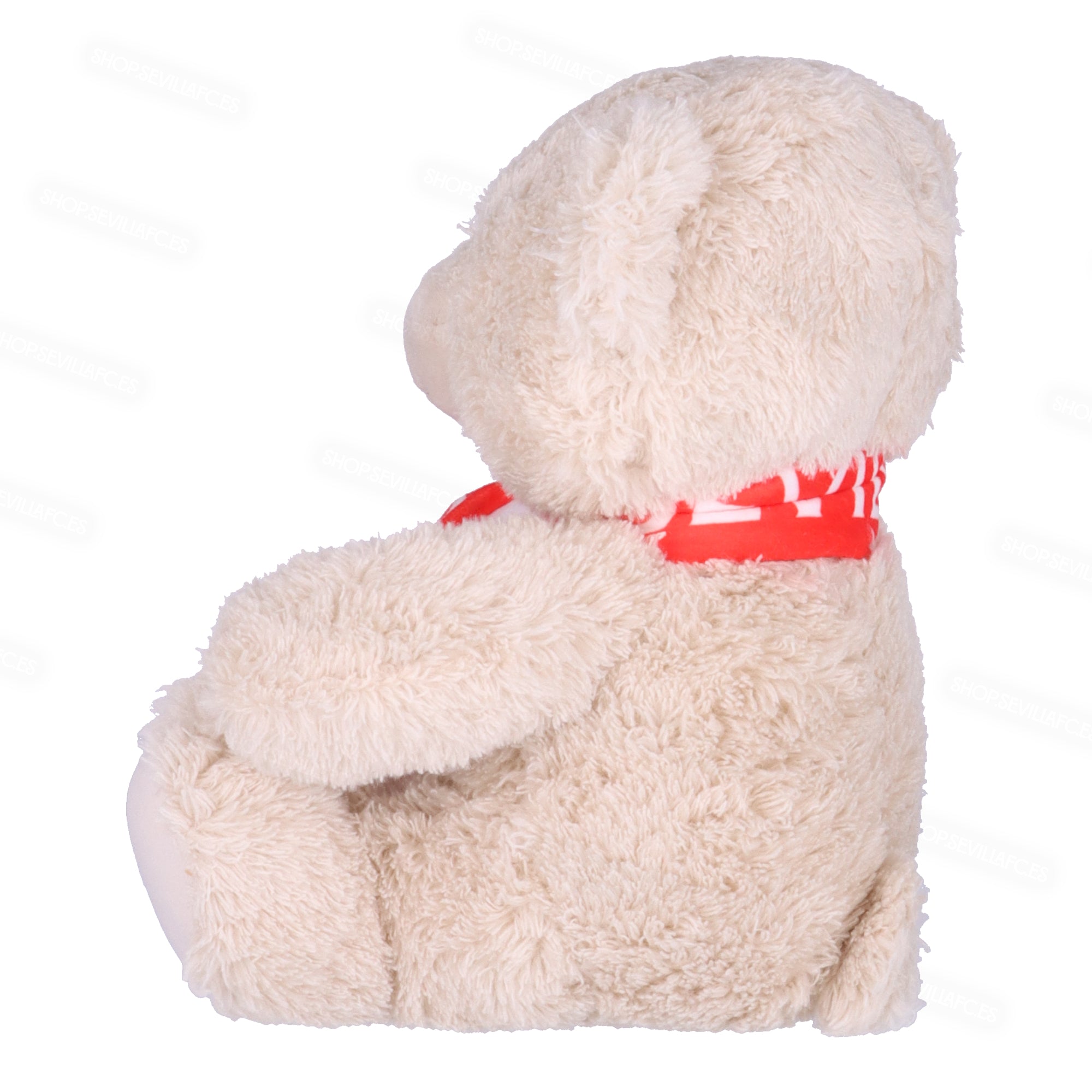 Teddy bear with scarf