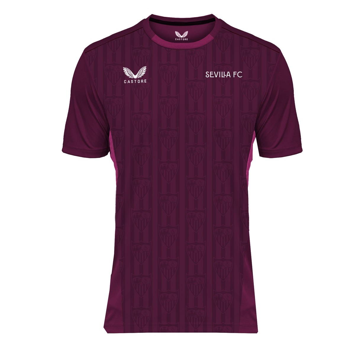 Women Purple Training Shirt 23/24