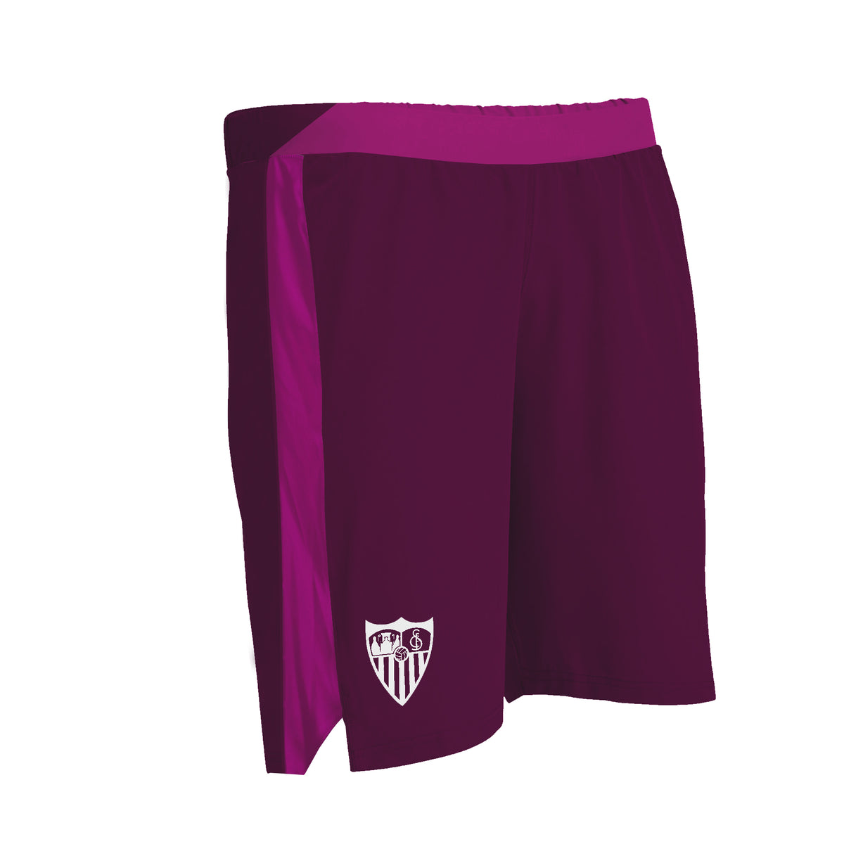 Women’s Purple Training Shorts 23/24